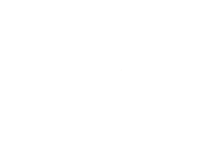 Vintage Wellies Logo